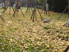 -沙河三洞古桥公园