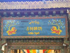 -古树酸奶(八廓南街店)