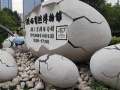 -陕西自然博物馆