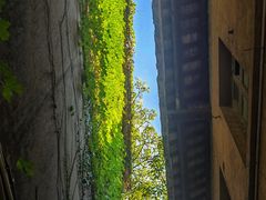 -广州市紫泥堂文化创意园景区