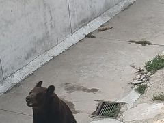 -天津市动物园