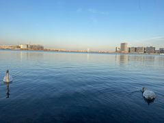 -北龙湖湿地公园