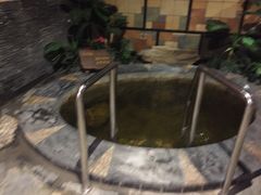 -泉城欧乐堡戏水湾艺术养生温泉