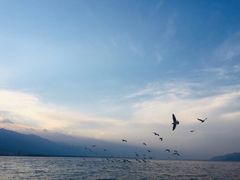 -大理洱海
