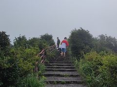 -大围山国家森林公园