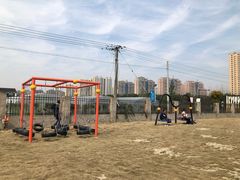 -菊园百果园