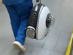 -联合动物医院(光谷诊疗中心)