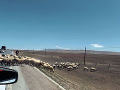 -青海湖国家重点风景名胜区