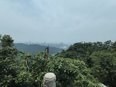 -岳麓山风景名胜区