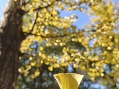 -狼山风景名胜区