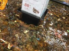 -盒马鲜生(皇庭广场店)