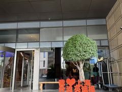 -上海外滩英迪格酒店