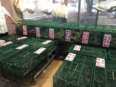 水产区-荔城生鲜盛宴(番禺旗舰店)