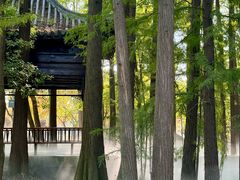 -东湖落雁景区