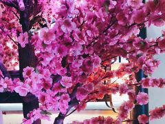 -今朝桃花醉川菜小酒馆(龙湖天街店)