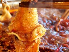 -枇杷园食为鲜火锅(南山店)