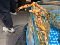-连鹭海鲜·海肠捞饭·海胆饭(星海店)