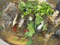 -风鑫铃罗非鱼(道沟店)