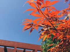 教学楼-中国政法大学(昌平校区)