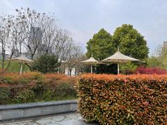 -后襄河公园