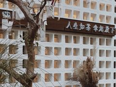 -扫雪煮茶(西村店)