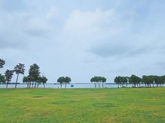 -漕湖湿地公园
