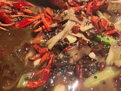 -杨氏青龙虾·羊蝎子(托乐嘉店)