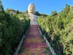 -蒙山大佛景区