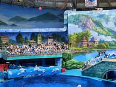 -海合安成都极地海洋公园