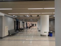 -南京奥林匹克体育中心-体育馆