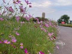 -济南国际园博园