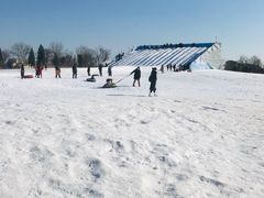 -绿野森林乐园冰雪季