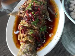 -微山岛春天里酒家