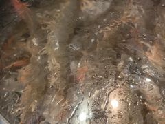 -海味当家·蒸锅海鲜(星海公园店)