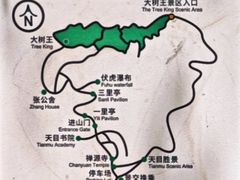 -天目山大树王景区