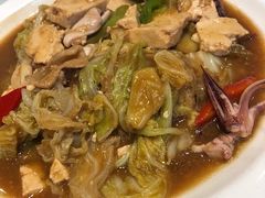 海兔炖白菜豆腐-小船渔村•大连菜•大连焖鱼(明泽街店)