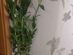 -沐森 •疗愈头疗馆(打浦桥店)