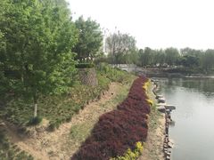 -大兴滨河森林公园