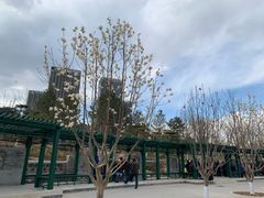 -西海子公园