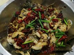 鱼火锅-晓林火锅(安定门店)
