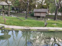 -上海野生动物园