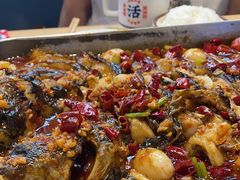 -鱼酷活鱼烤鱼(沈阳大悦城店)