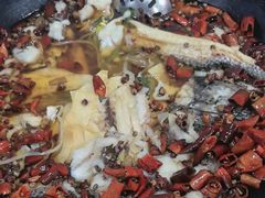 -金三可市井水煮鱼(金碧园店)