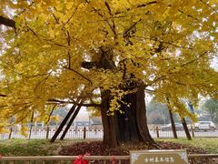 -清华大学玉泉医院