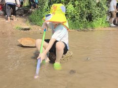 -绿堤公园