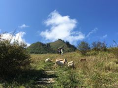 -硗碛藏寨·神木垒景区