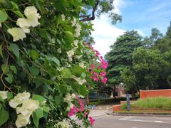 -北京师范大学(珠海校区)