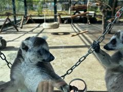 -水上乐园·欢乐世界