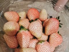 -三合园水饺(二马路店)