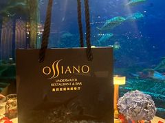 -亚特兰蒂斯•OSSIANO奥西亚诺海底餐厅